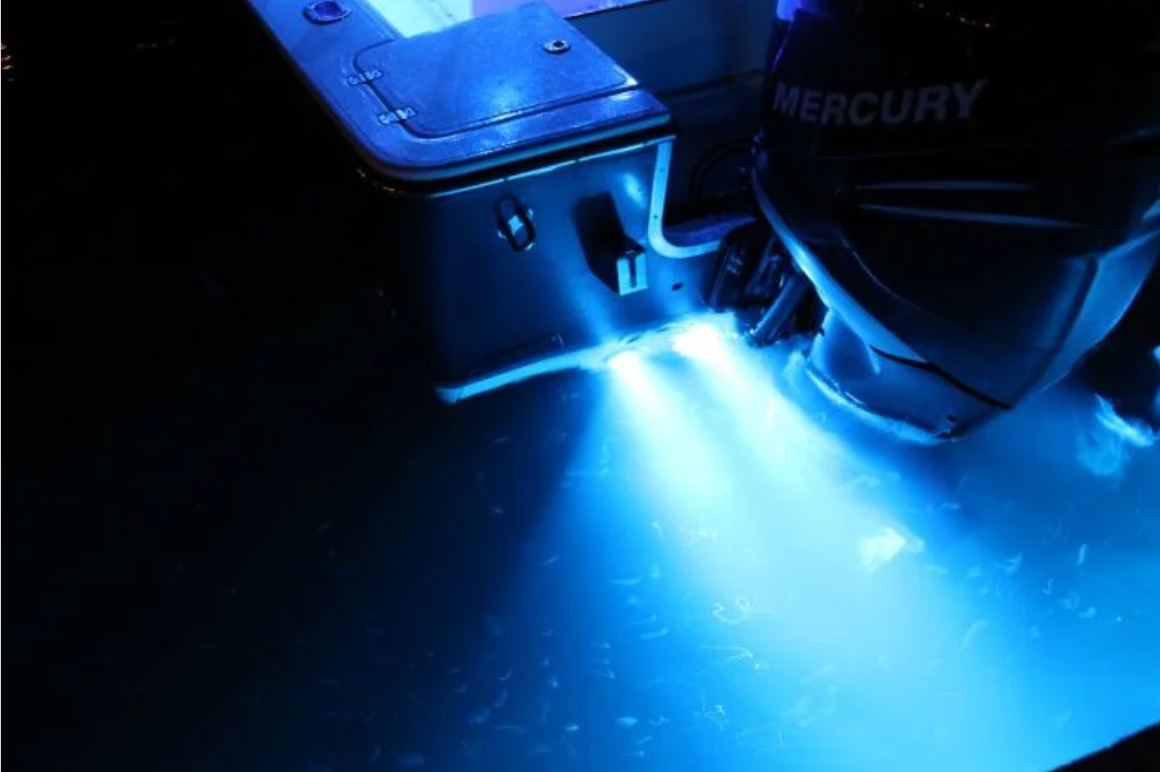 Luz submergivel 12V SeaBlaze mini LED Azul – Par (duas unidades) – Lumitec - Image 5